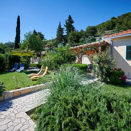 Unique House Split